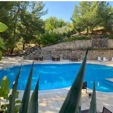 Dusler Vadisi Kazdaglari Hotel