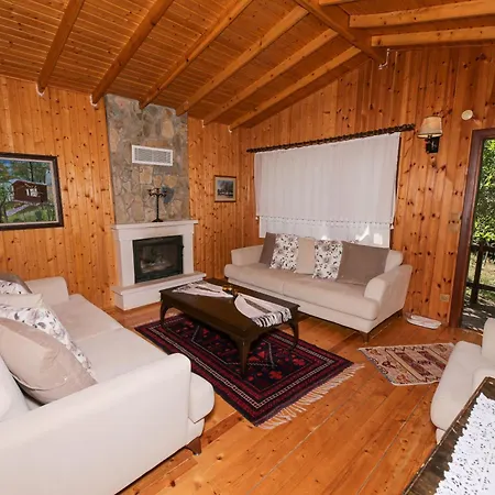 Dusler Vadisi Kazdaglari * Edremit (Balikesir)