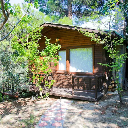 Hotel Dusler Vadisi Kazdaglari