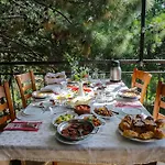 Hotel Dusler Vadisi Kazdaglari