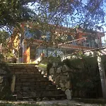 Dusler Vadisi Kazdaglari * Edremit (Balikesir)