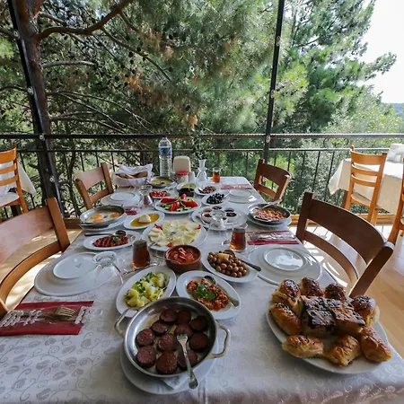 Dusler Vadisi Kazdaglari Edremit (Balikesir)