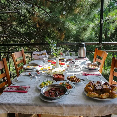 Hotell Dusler Vadisi Kazdaglari