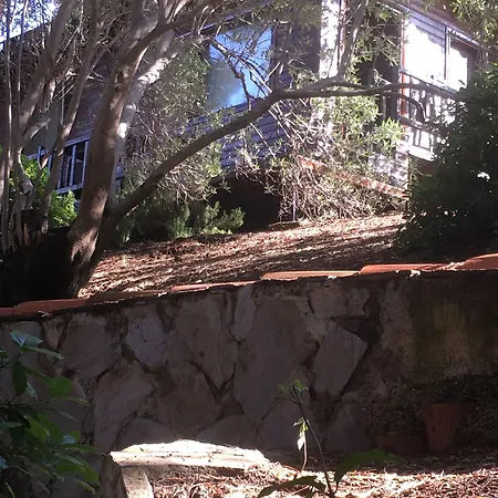 Dusler Vadisi Kazdaglari 에드레미트